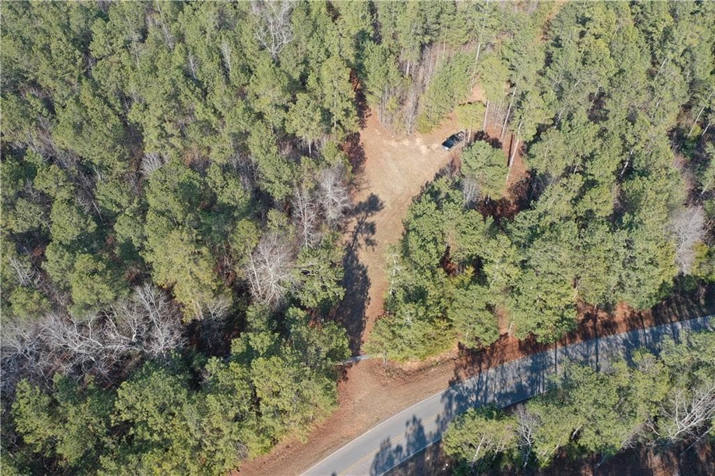 unimproved land under contract at 0 Hulmes Chapel Road, Elberton, GA 30635 — photo 6
