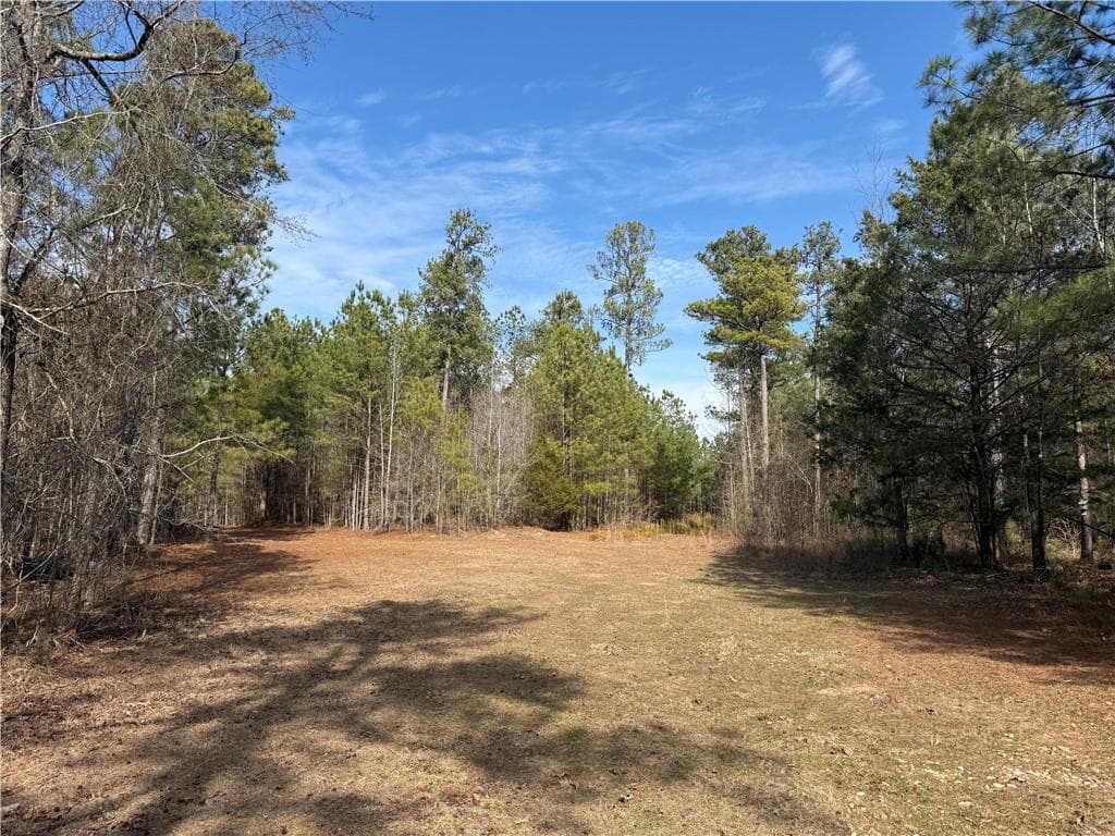 unimproved land under contract at 0 Hulmes Chapel Road, Elberton, GA 30635 — photo 10