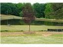 3 bedroom, 3 bathroom, 2,212 sq ft single family residence for sale at 275 Pondview Drive, Athens, GA 30605 — photo 4
