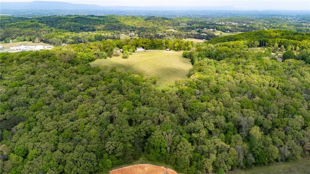 unimproved land for sale at 0 Bicentennial Trail, Rock Spring, GA 30739 — photo 8