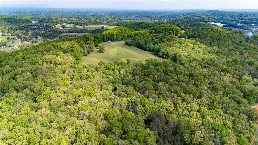 unimproved land for sale at 0 Bicentennial Trail, Rock Spring, GA 30739 — photo 7