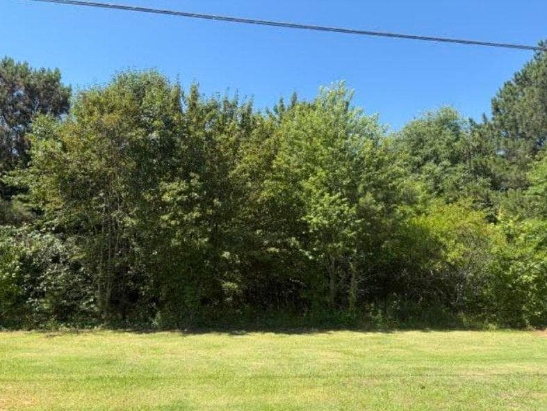 unimproved land for sale at 7059 Hwy 81 - Tract 1, Monroe, GA 30656 — photo 6