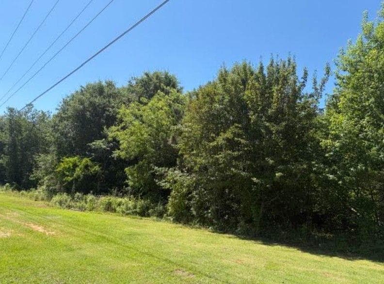 unimproved land for sale at 7059 Hwy 81 - Tract 1, Monroe, GA 30656 — photo 7