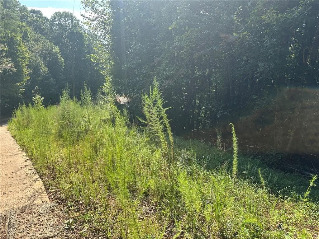 unimproved land for sale at 5, 10 Riverview Dr and Pine Trail, Dahlonega, GA 30533 — photo 2