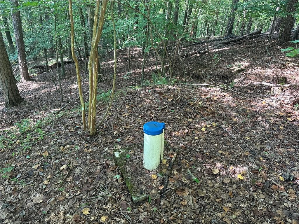 unimproved land for sale at 5, 10 Riverview Dr and Pine Trail, Dahlonega, GA 30533 — photo 3