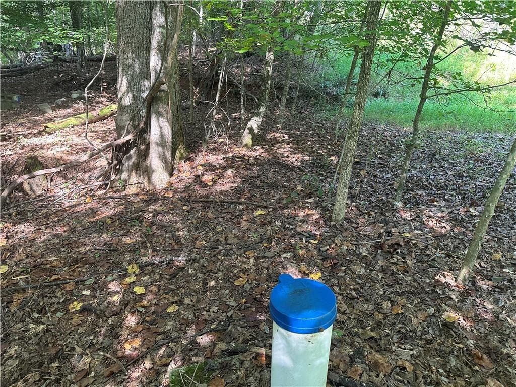 unimproved land for sale at 5, 10 Riverview Dr and Pine Trail, Dahlonega, GA 30533 — photo 4