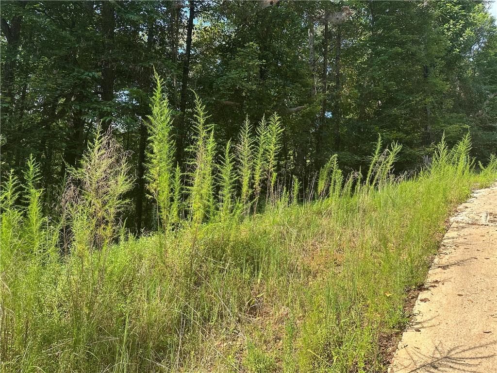 unimproved land for sale at 5, 10 Riverview Dr and Pine Trail, Dahlonega, GA 30533 — photo 5