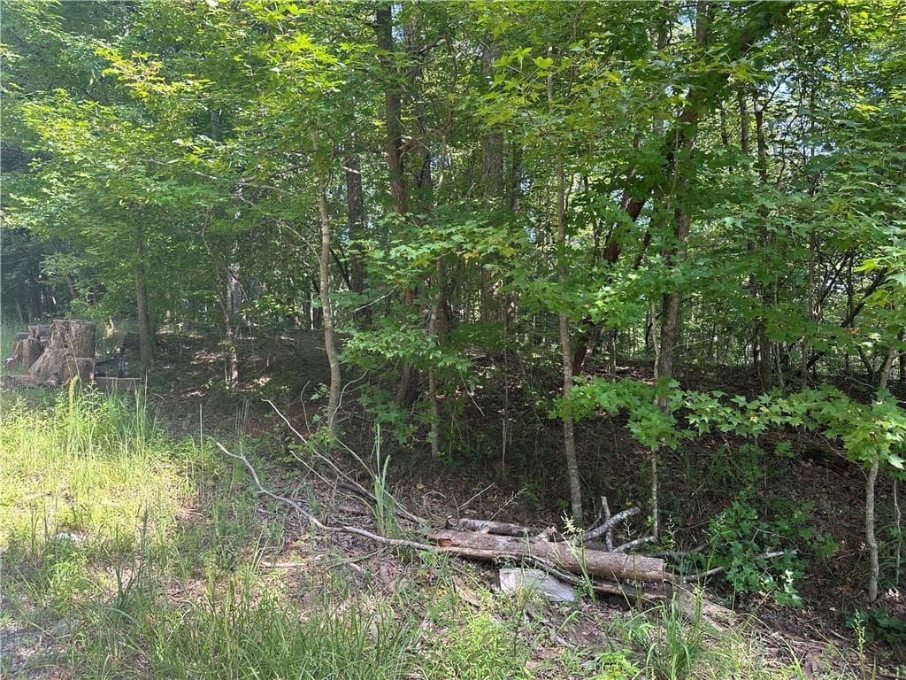 unimproved land for sale at 5, 10 Riverview Dr and Pine Trail, Dahlonega, GA 30533 — photo 6