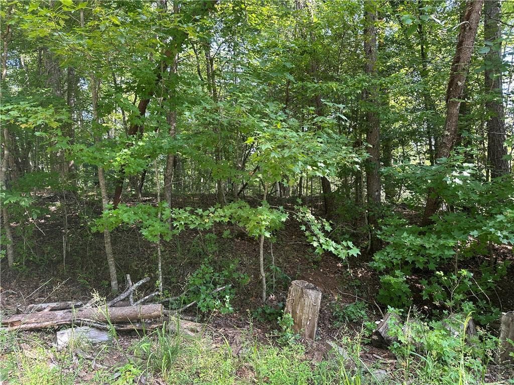 unimproved land for sale at 5, 10 Riverview Dr and Pine Trail, Dahlonega, GA 30533 — photo 7