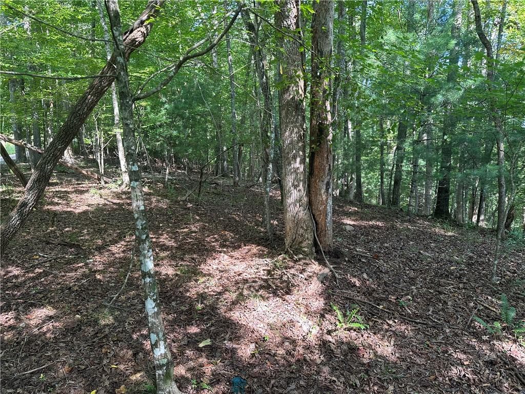 unimproved land for sale at 5, 10 Riverview Dr and Pine Trail, Dahlonega, GA 30533 — photo 8