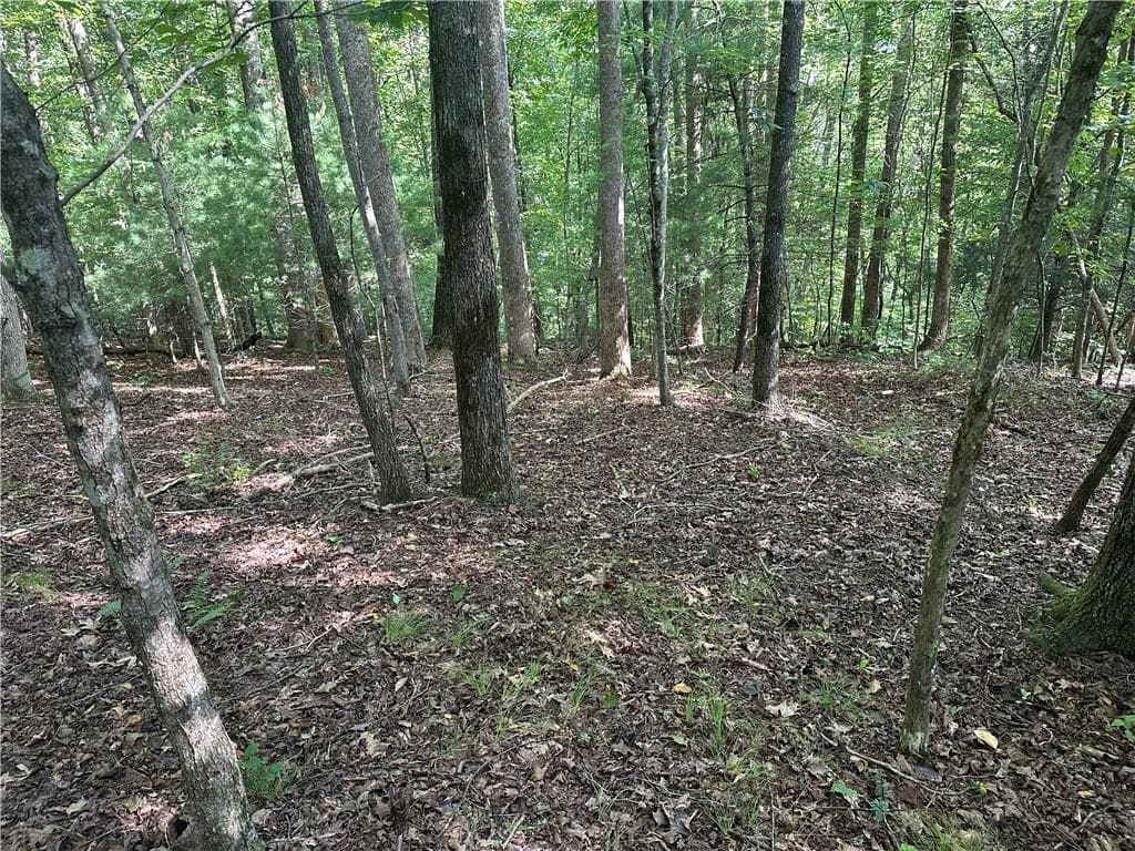 unimproved land for sale at 5, 10 Riverview Dr and Pine Trail, Dahlonega, GA 30533 — photo 9