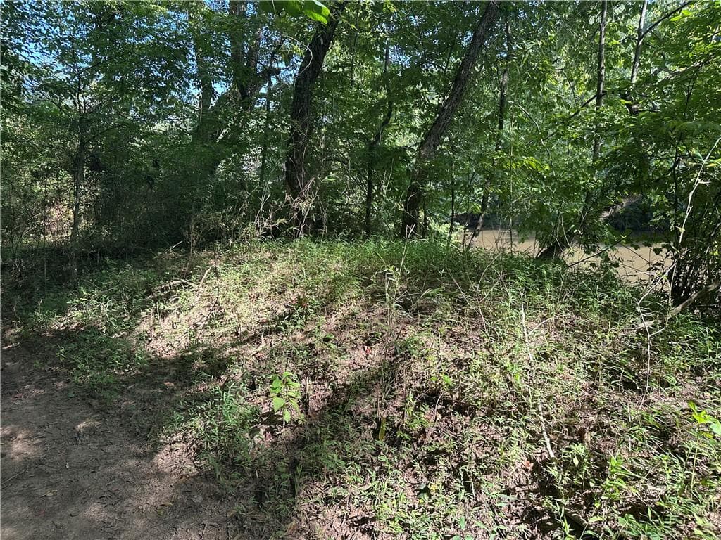 unimproved land for sale at 5, 10 Riverview Dr and Pine Trail, Dahlonega, GA 30533 — photo 10