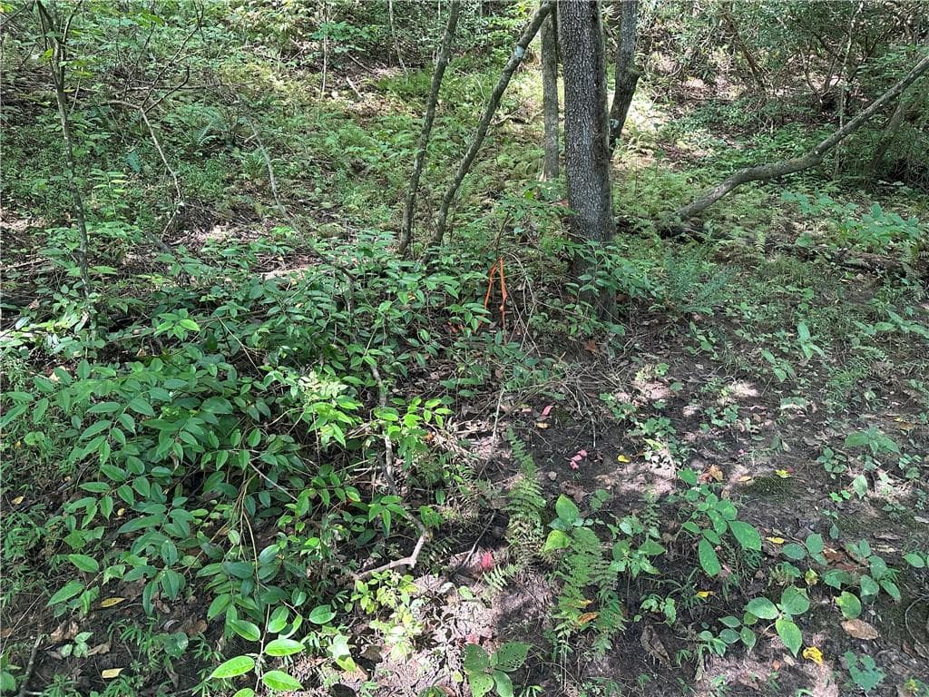 unimproved land for sale at 5, 10 Riverview Dr and Pine Trail, Dahlonega, GA 30533 — photo 1 of 17