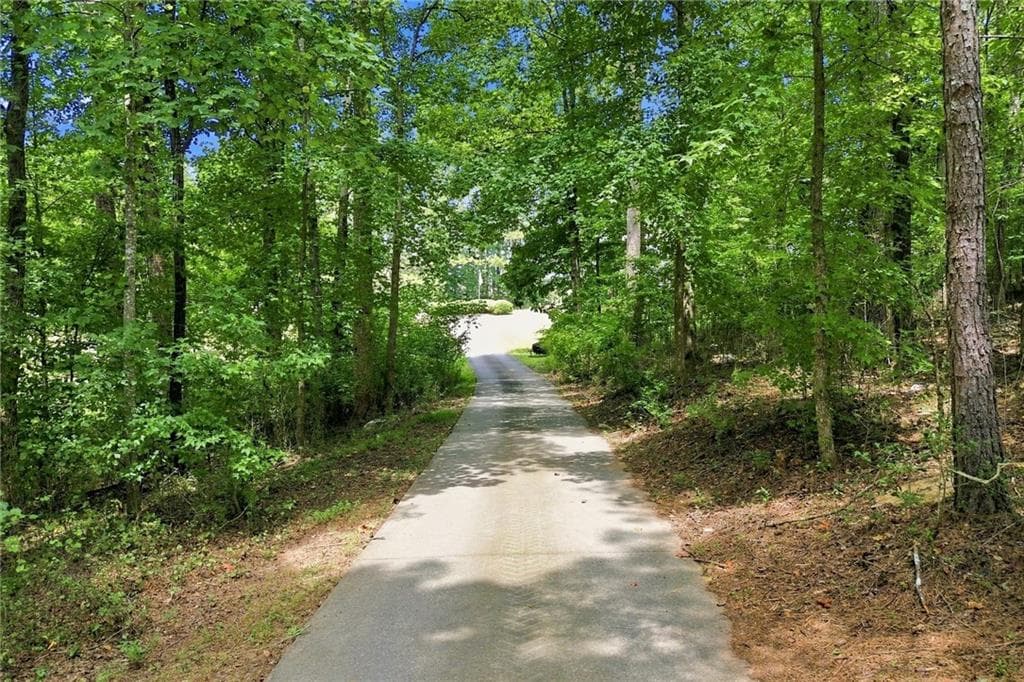 7 bedroom, 8 bathroom, 9,023 sq ft single family residence for sale at 251 Bethany Farms Drive, Ball Ground, GA 30107 — photo 2