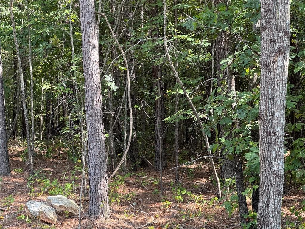 other for sale at 00 Lone Bear Path, Dallas, GA 30132 — photo 2