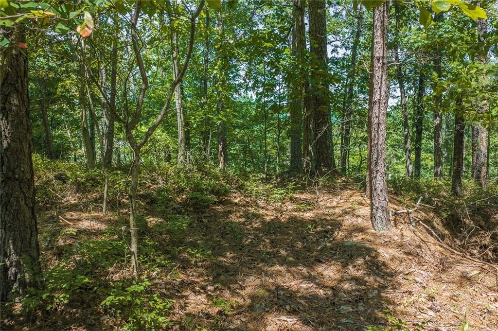 single family residence for sale at 694-95 Railey Ridge, Ranger, GA 30734 — photo 6