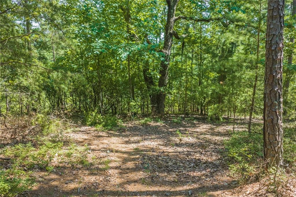 single family residence for sale at 694-95 Railey Ridge, Ranger, GA 30734 — photo 7