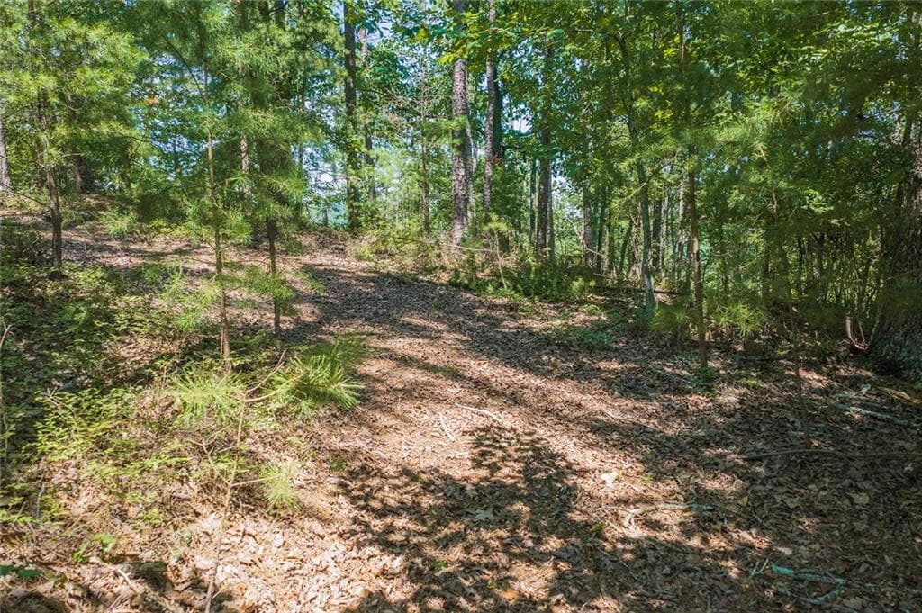 single family residence for sale at 694-95 Railey Ridge, Ranger, GA 30734 — photo 8