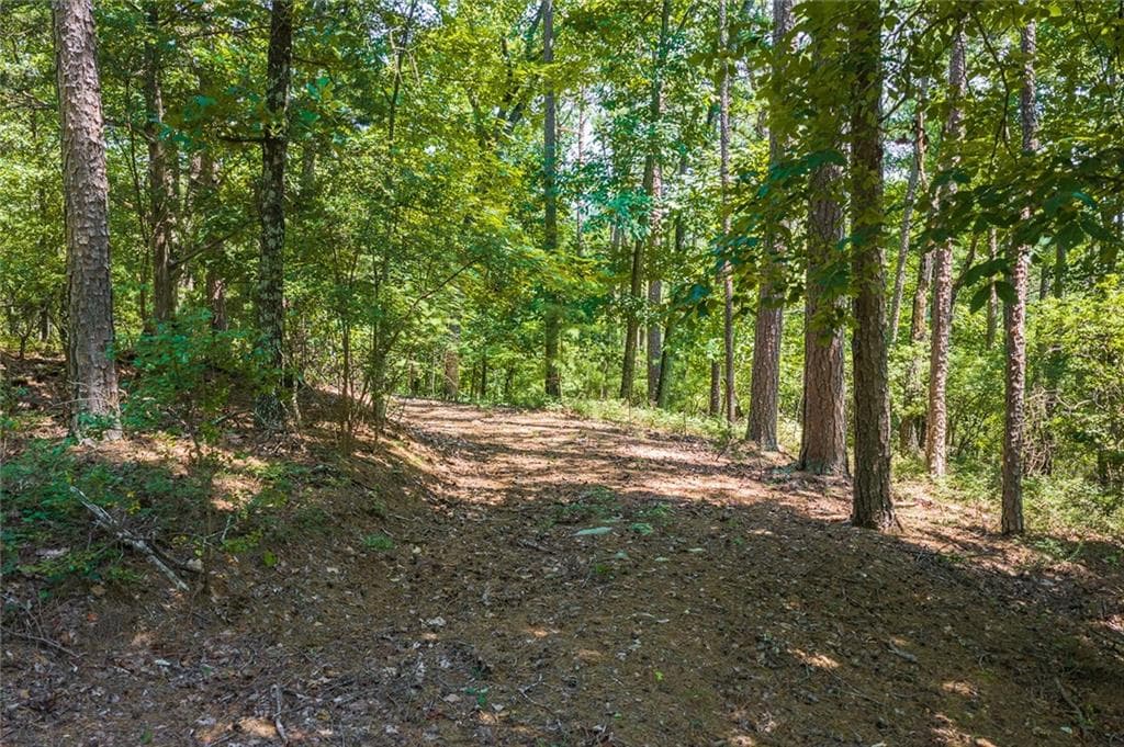 single family residence for sale at 694-95 Railey Ridge, Ranger, GA 30734 — photo 10