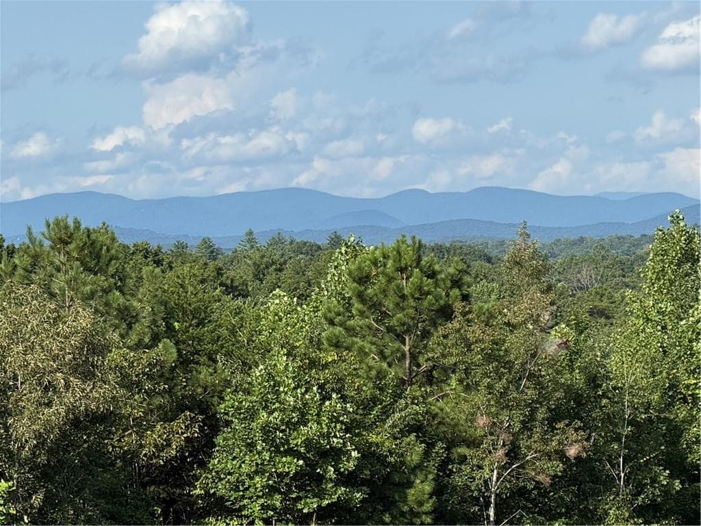 single family residence for sale at 01 Knights Mountain Road, Dahlonega, GA 30533 — photo 6
