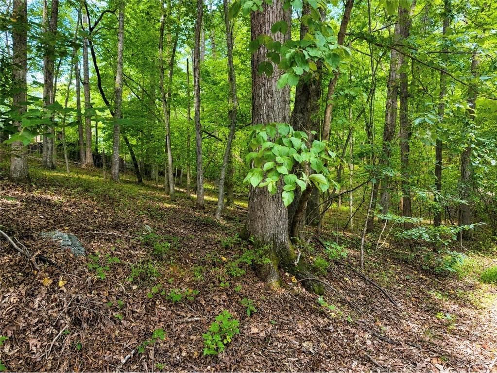single family residence for sale at 6195 Belle Meade Drive, Villa Rica, GA 30180 — photo 2