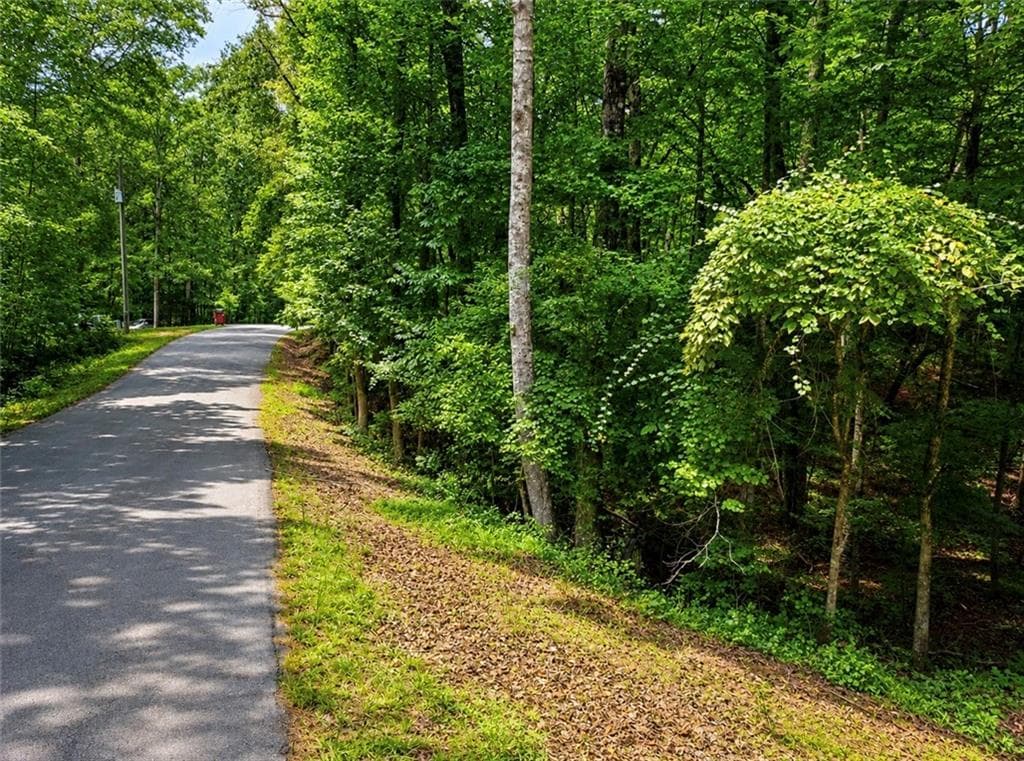 single family residence for sale at 6195 Belle Meade Drive, Villa Rica, GA 30180 — photo 3