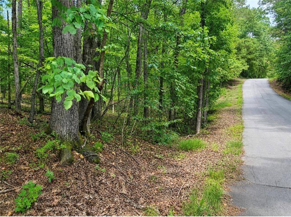 single family residence for sale at 6195 Belle Meade Drive, Villa Rica, GA 30180 — photo 4