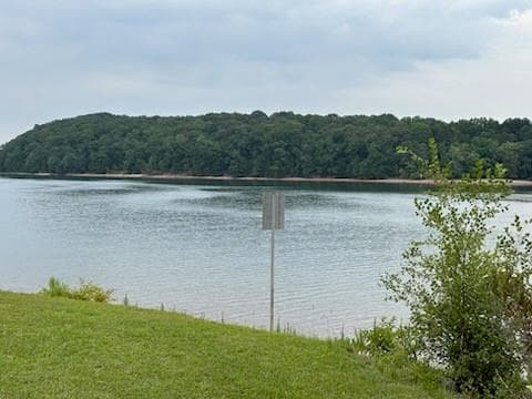 unimproved land for sale at 9129 Brookshire Road, Gainesville, GA 30506 — photo 6