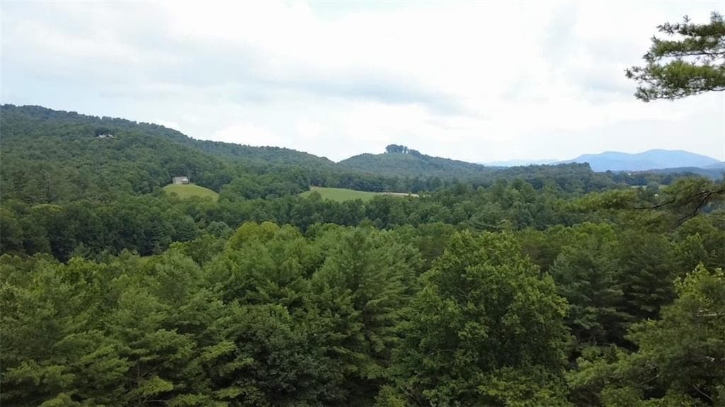 3 bedroom, 2 bathroom, 2,126 sq ft single family residence for sale at 158 Earney Road, Blairsville, GA 30512 — photo 4