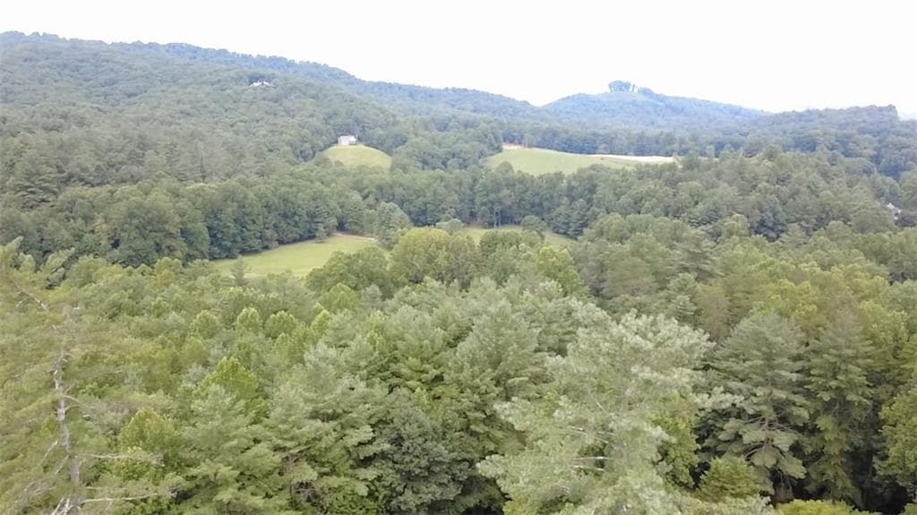 3 bedroom, 2 bathroom, 2,126 sq ft single family residence for sale at 158 Earney Road, Blairsville, GA 30512 — photo 5