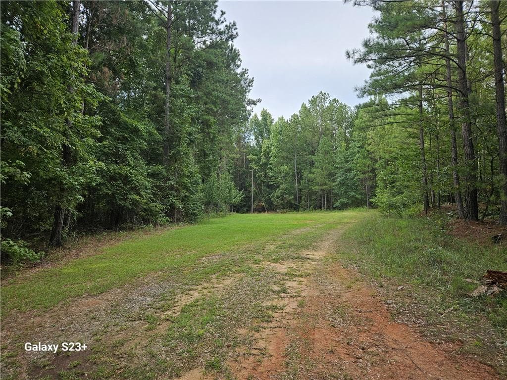 3 bedroom, 2 bathroom, 1,216 sq ft single family residence for sale at 1371 Bairdstown Road, Union Point, GA 30669 — photo 10