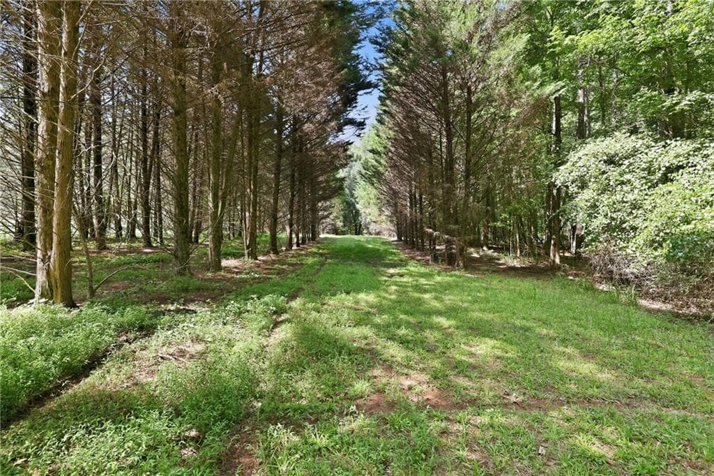 5 bedroom, 4 bathroom, 3,497 sq ft single family residence for sale at 4829 Old Pendergrass Road, Jefferson, GA 30549 — photo 8