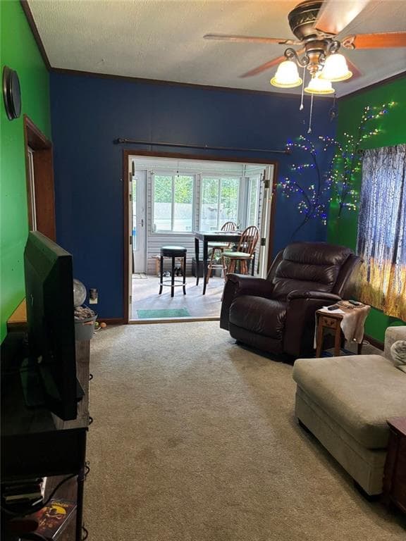 2 bedroom, 1 bathroom, 900 sq ft single family residence for sale at 61 Rocky Lane, Cleveland, GA 30528 — photo 6