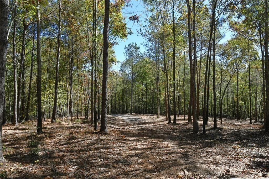 other for sale at 352 Mulberry Road, Winder, GA 30680 — photo 4