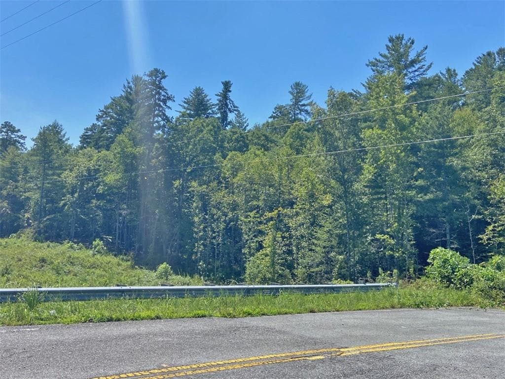 unimproved land for sale at 17AC Hwy 515, Ellijay, GA 30540 — photo 4