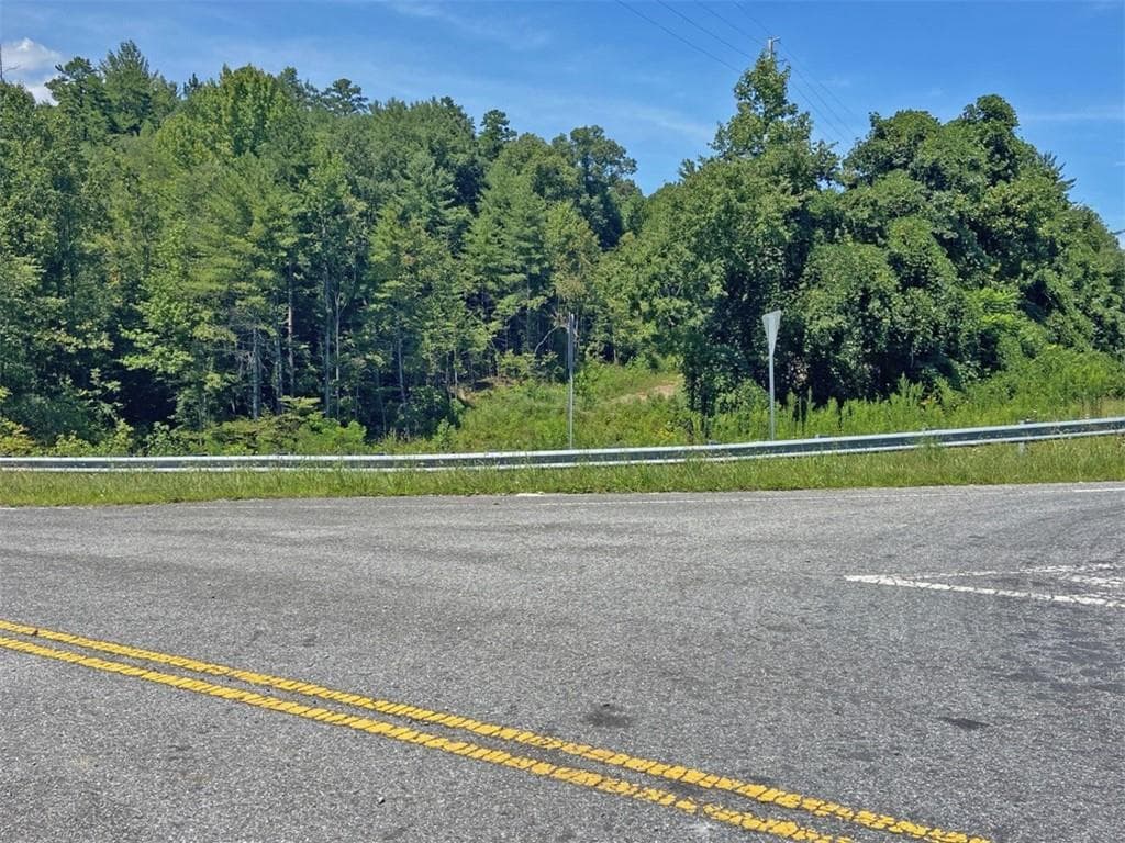 unimproved land for sale at 17AC Hwy 515, Ellijay, GA 30540 — photo 5