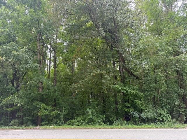 unimproved land for sale at 0 Old Burnt Hickory Road, Acworth, GA 30101 — photo 2