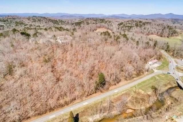 multi family for sale at 000 Auraria Road, Dahlonega, GA 30533 — photo 3