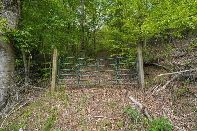 multi family for sale at 000 Auraria Road, Dahlonega, GA 30533 — photo 8