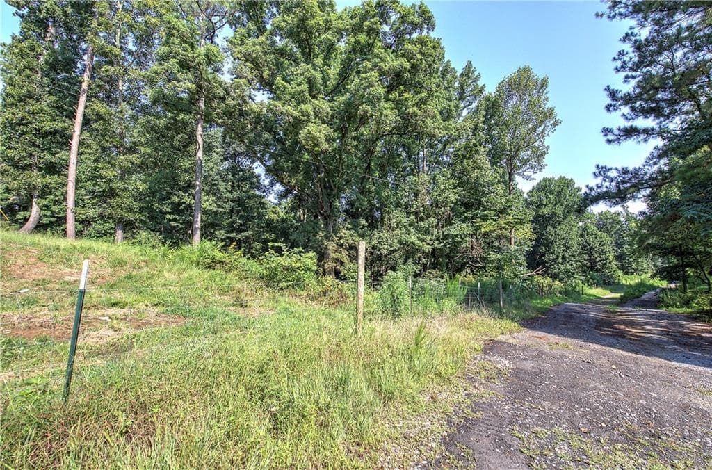 unimproved land for sale at 000 Pearl Johnson Road, Ranger, GA 30734 — photo 5