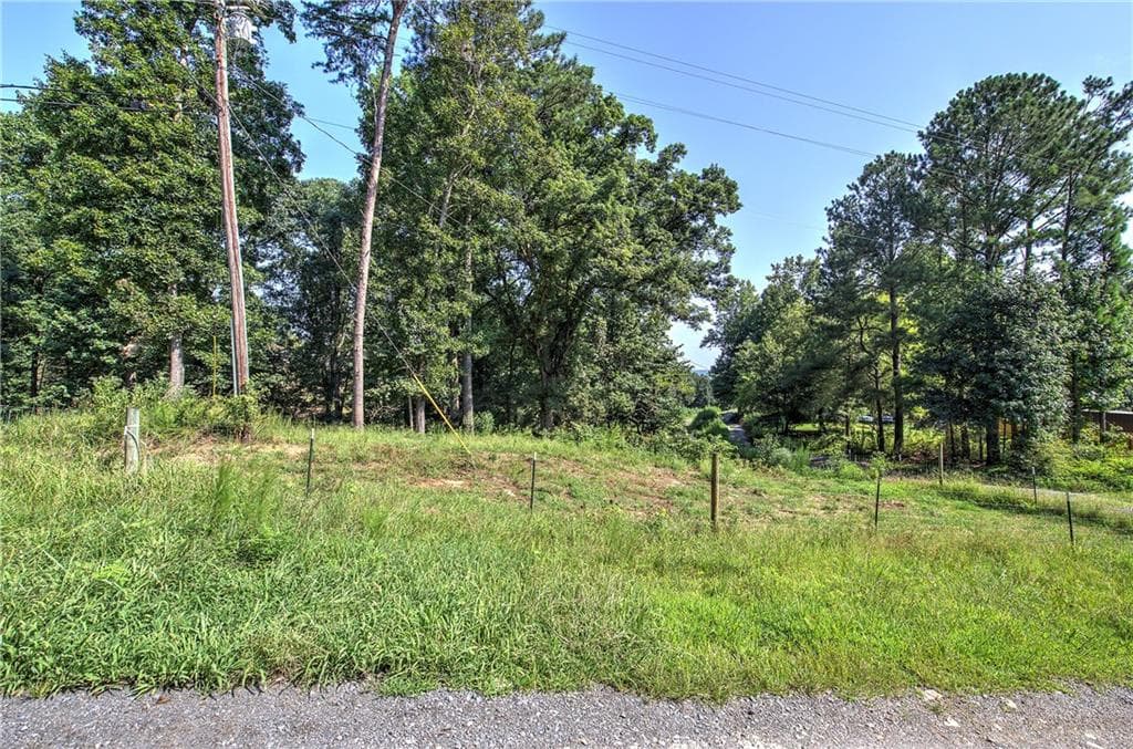unimproved land for sale at 000 Pearl Johnson Road, Ranger, GA 30734 — photo 6
