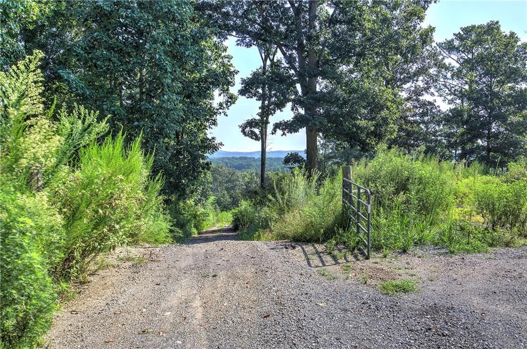 unimproved land for sale at 000 Pearl Johnson Road, Ranger, GA 30734 — photo 7