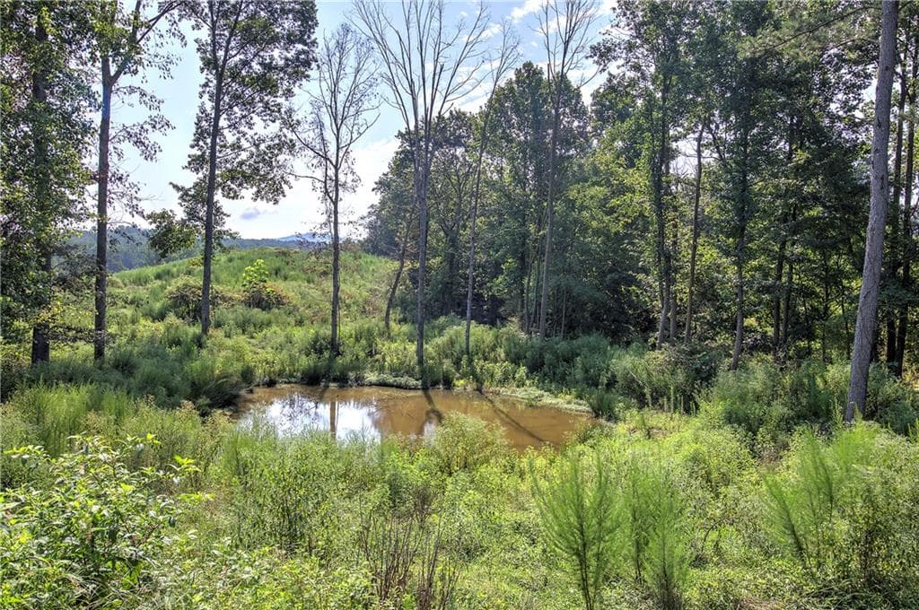 unimproved land for sale at 000 Pearl Johnson Road, Ranger, GA 30734 — photo 8
