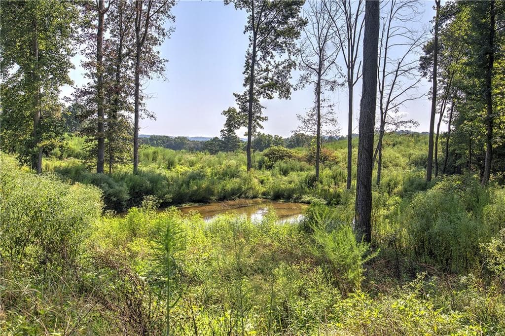 unimproved land for sale at 000 Pearl Johnson Road, Ranger, GA 30734 — photo 9