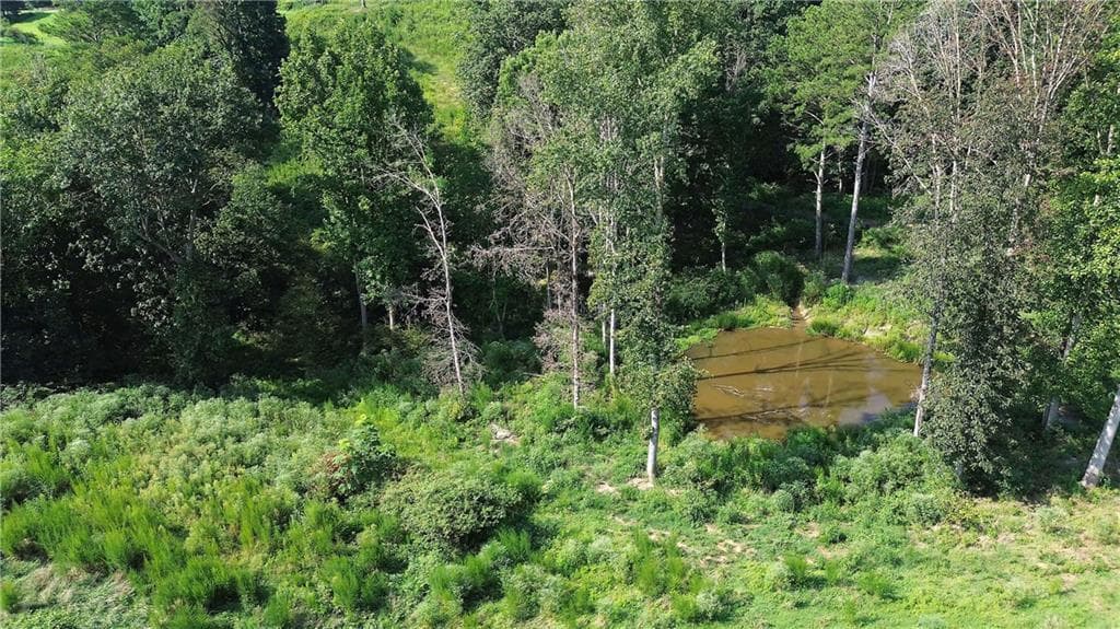 unimproved land for sale at 000 Pearl Johnson Road, Ranger, GA 30734 — photo 10