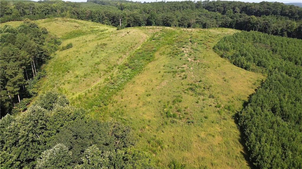 unimproved land for sale at 000 Pearl Johnson Road, Ranger, GA 30734 — photo 3
