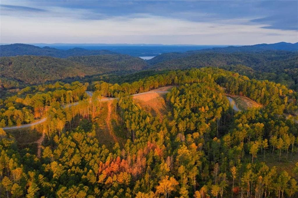 single family residence for sale at LT 224 W Vista Ridge Parkway, Talking Rock, GA 30175 — photo 6