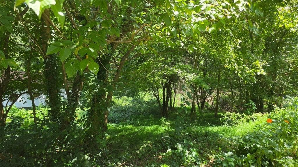 unimproved land for sale at 3407 Lawrence Street, Scottdale, GA 30079 — photo 2