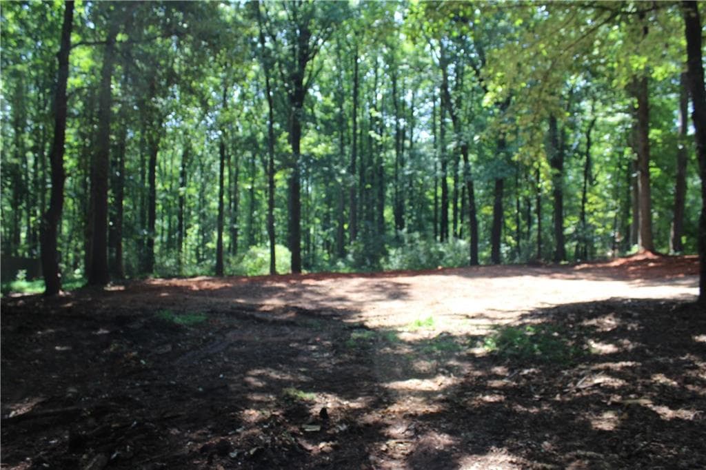 unimproved land for sale at 3575 Pleasant Grove Road, Cumming, GA 30028 — photo 4