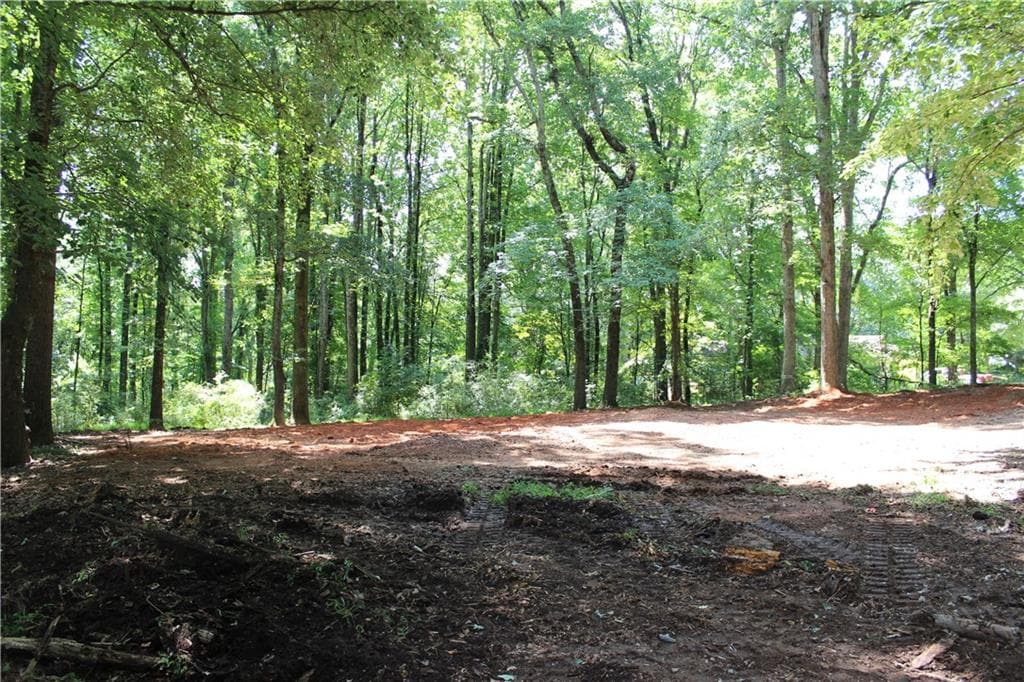 unimproved land for sale at 3575 Pleasant Grove Road, Cumming, GA 30028 — photo 5